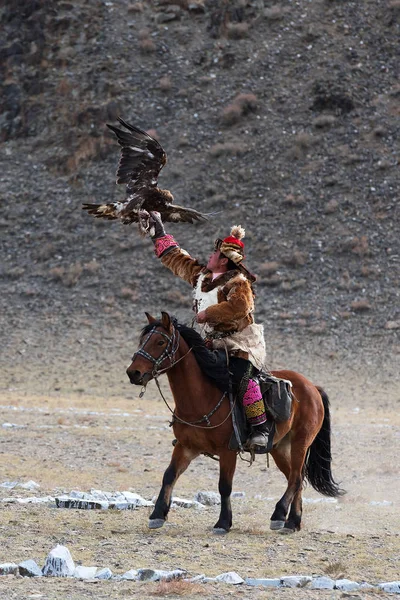Cazador desconocido con águila dorada muestra su experiencia en cetrería . — Foto de Stock