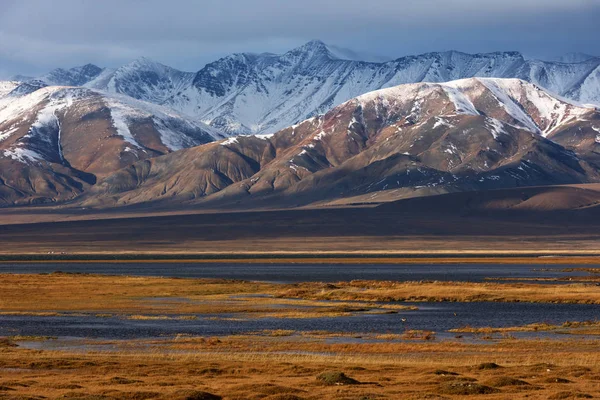 Krajobraz dzikie stepy Mongolii — Zdjęcie stockowe