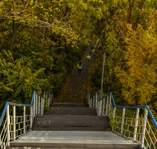Sonbahar. Park 'a giden yol..