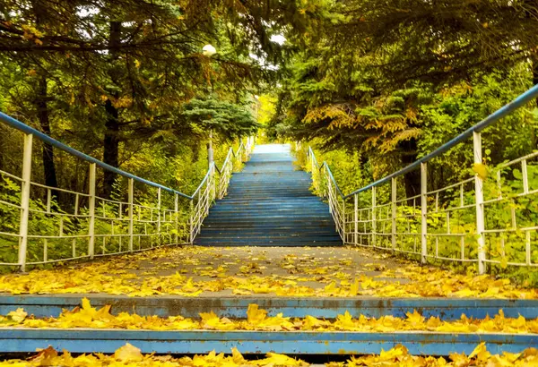 Sonbahar. Park 'a giden yol..