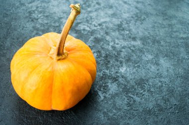  Siyah arka planda bir portakal kabağı. Boşluğu kopyala.