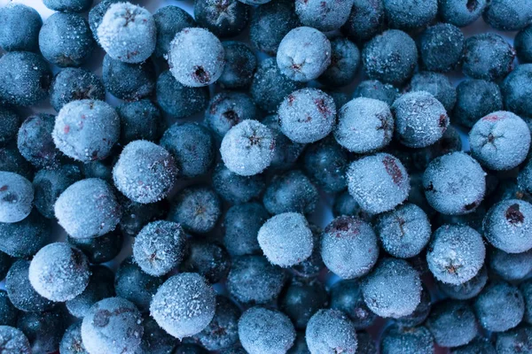 Pozadí Zmrzlých Bobulí Bobule Antioxidant Chokeberry — Stock fotografie