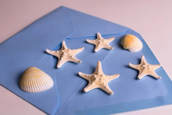 Deniz Yıldızı Deniz Kabukları Mavi Bir Zarftan Düşer Tatil Zamanı — Stok fotoğraf