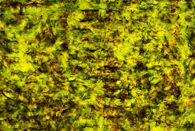 Nori Listerra 'nın geçmişi. Yakın plan. Kahverengi aksanlı yeşil soyut arkaplan.