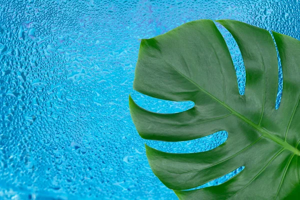 Tropisches Monstera Blatt Vor Dem Hintergrund Eines Stapels Von Wassertropfen — Stockfoto