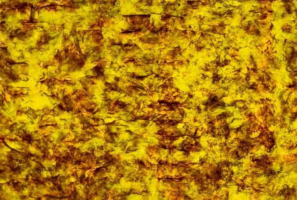 Fundo Amarelo Marrom Abstrato Textura Incomum — Fotografia de Stock