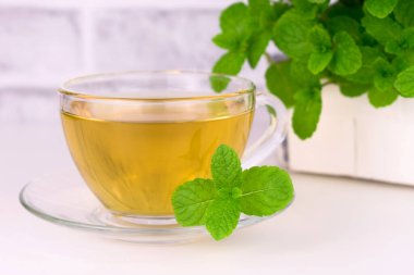 Nane çayı ve arka planda taze nane şekeri. Beyaz arka planda nane çayı. Yakın plan..