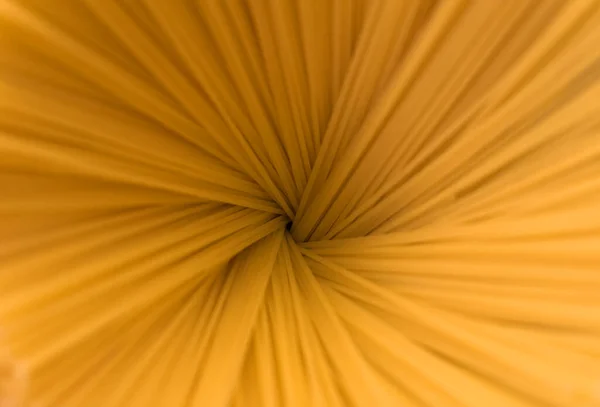Паста Фоні Спагеті Копіювати Простір Сирі Спагеті — стокове фото