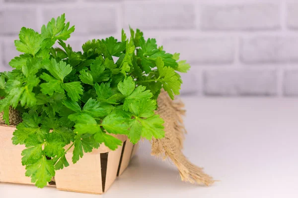 Beyaz bir masada sepetteki taze maydanoz. Boşluğu kopyala.