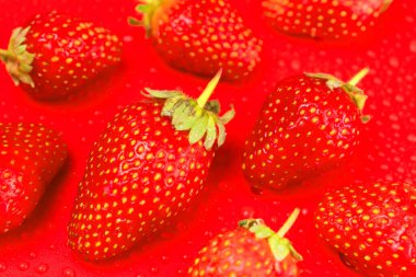 Kırmızı arka planda taze kırmızı çilekler. Çilek arka planda..