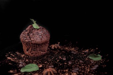 Bazı nane ve ANIS siyah bir tabak içinde çikolatalı muffin yıldız