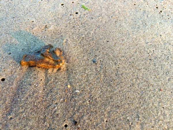 Pierres sur le sable — Photo