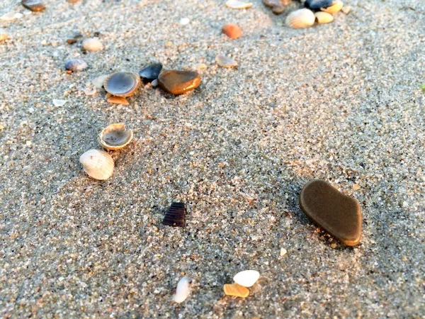 Πέτρες στην άμμο — Φωτογραφία Αρχείου