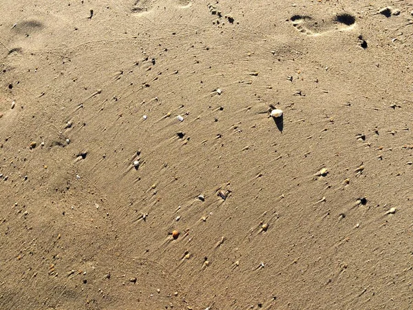 Sand på stranden — Stockfoto