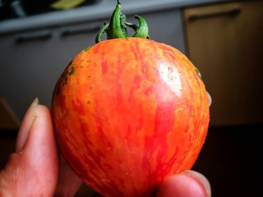 Turuncu domates elinde