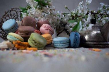 Eski Doğu örgülü vazoda çok renkli macaroons