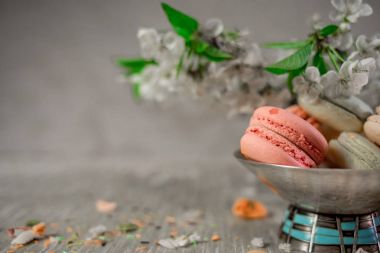 Multocolored macarons pastel bir arka plan üzerinde metal gümüş vazoda 