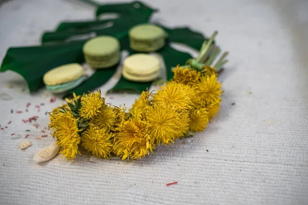 Macaroons verdes e amarelos com a folha de um monstera e grinalda de dentes-de-leão — Fotografia de Stock