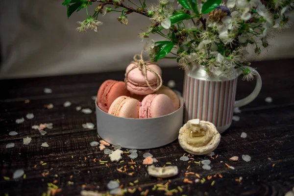 Beyaz kiraz çiçekleri ve macaroons beyaz tabak içinde bir dalı ile sürahi