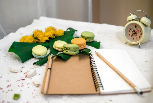 Eco Notebook on a white background with a sheet of monsters and macaroons — Stock Photo, Image