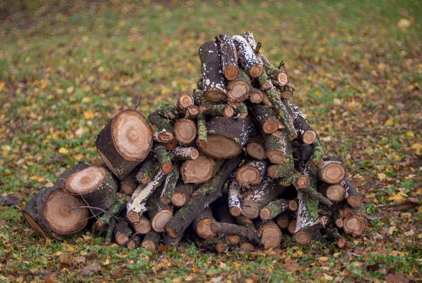 Gestapelde brandhout in de tuin — Stockfoto