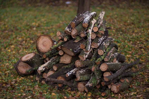 庭で薪を積み上げ — ストック写真