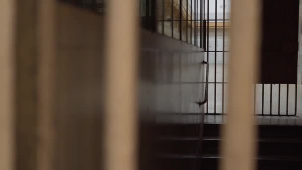 View of prison corridor through metal bars. camera moves from left to right — Stock Video