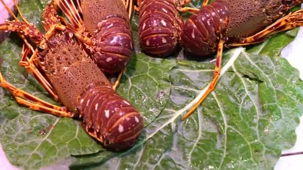 Fresh lobster on a market counter on ice. — Stockvideo