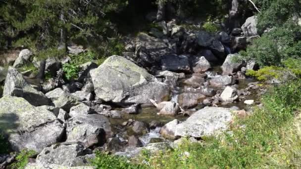 Ορεινό ρέμα με κρυστάλλινα νερά ρέει ανάμεσα σε τεράστιες πέτρες στα βουνά — Αρχείο Βίντεο