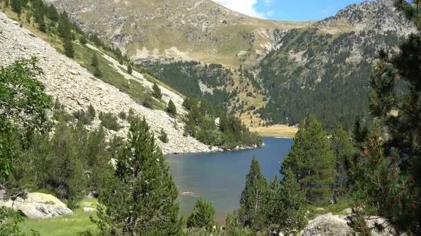 Lac de montagne près de la forêt de conifères — Video