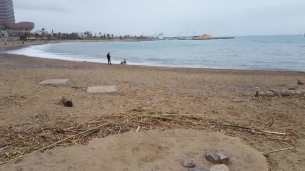 Der Strand von Barcelona am Tag nach dem Hurrikan. Folgen von Naturkatastrophen — Stockvideo