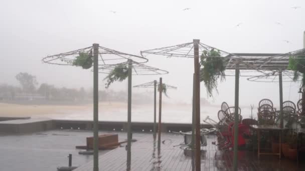 ハリケーンで海のそばのカフェの傘を破壊した。バルセロナの嵐 — ストック動画