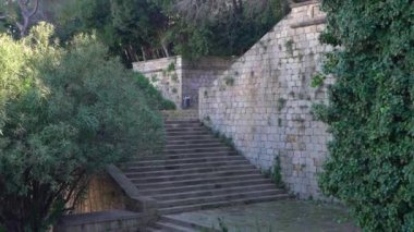 Parktaki antik taş merdiven. Büyük taşlardan oluşan duvarda yeşil loach