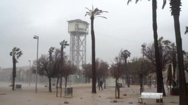 Şiddetli fırtına sırasında palmiye ağaçları ile şehir meydanı.