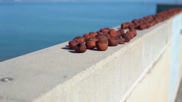 晴天下での海に対する柿の干物の見方. — ストック動画