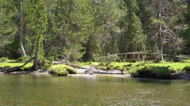 Ormanda temiz suyu olan bir dağ gölü..