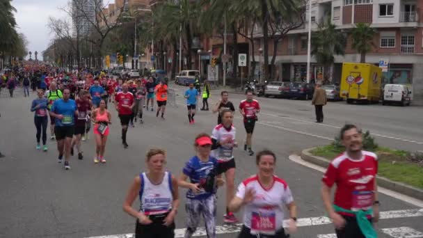 La gente corre una maratona sulla strada principale della città — Video Stock