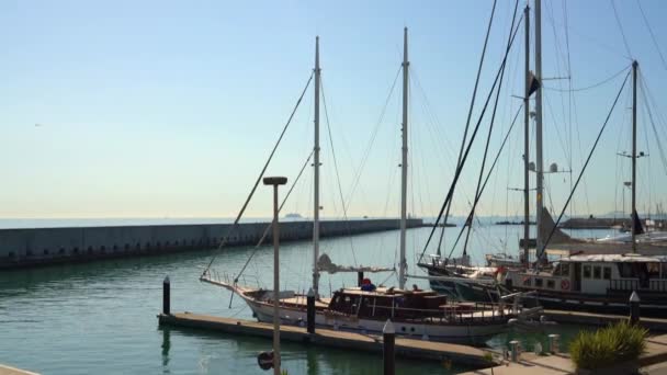 Zeilboten in de haven van Barcelona. de camera stijgt langzaam op. — Stockvideo