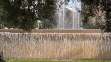 Şehir çeşmesi bir ağacın tacının altında. Çeşme sıcak bir günde şehir meydanında