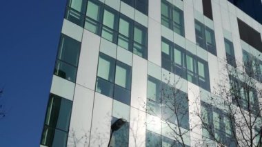 Güneşli havalarda ofis çeyreği. Ofis binaları arasında yürürken