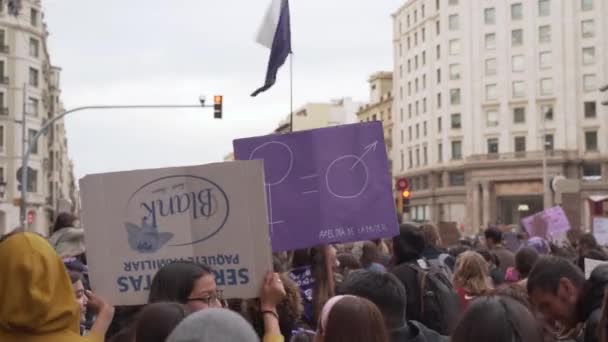 Женщина держит плакат с эквивалентными символами мужчин и женщин. — стоковое видео