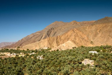 Oasis Panorama Umman dağlar Jabal Akhdar Al Hajar Dağları