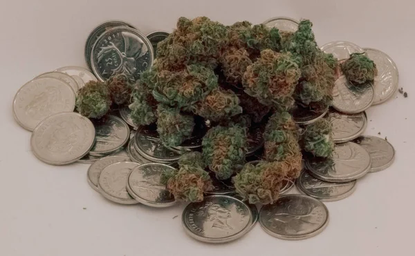 Une grande pile de marijuana médicinale assise sur un pi encore plus grand — Photo