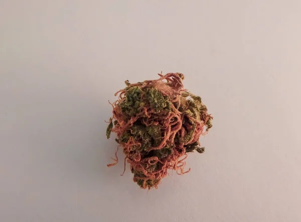 Makro zblízka jednoho marihuanového pupenu s jasnými krystaly — Stock fotografie