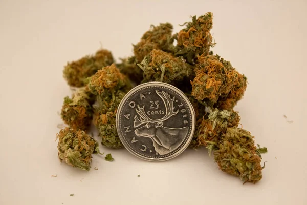 Kanada Mahallesi 'nde Marihuana Tomurcukları Yığını