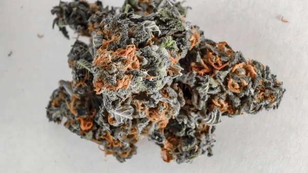 Close-up van grote marihuana knoppen met oranje-rode haren op een pinkstertje — Stockfoto