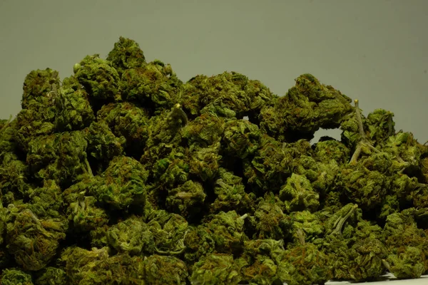 Primo piano di una grande pila di germogli di marijuana che mostrano un verde vibrante — Foto Stock