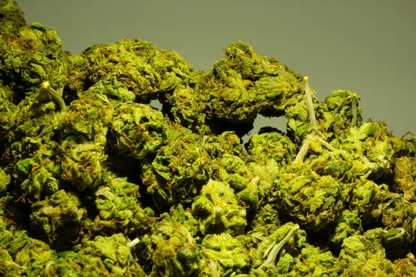 Close-up de uma grande pilha de botões de maconha mostrando verde vibrante — Fotografia de Stock