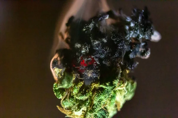 Macro close up of a smoking smouldering marijuana bud. — Stock Photo, Image