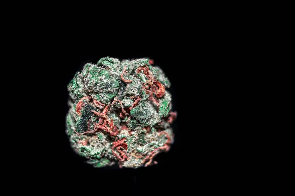 An isolated bud with red hairs similar to yarn and round in shap — ストック写真